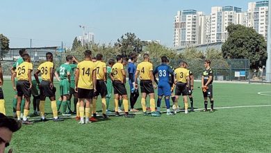 Photo of הסינדרלה מנורדיה