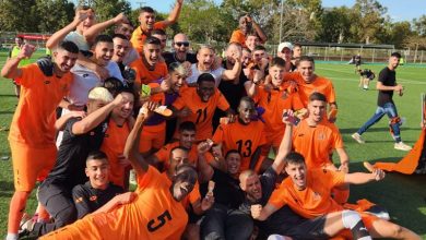 Photo of חזרו למקומם הטבעי