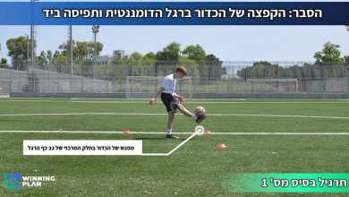 Photo of תוכנית אימונים שבועית מבית חברת WinningPlan בחינם עבורכם